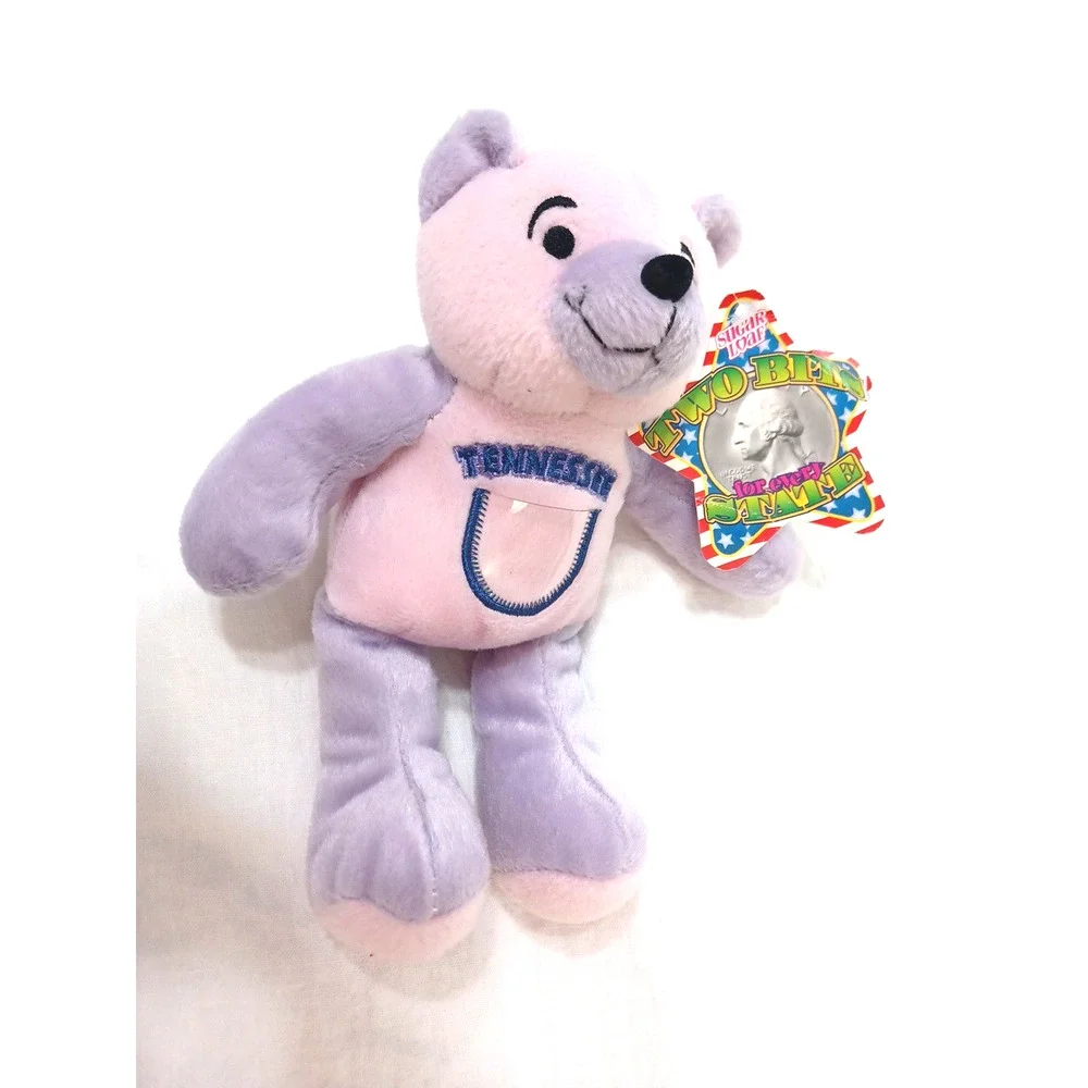 Sugar Loaf Two Bits Tennessee 16th USA Flag Pink Purple Plush Bear 8 1/2